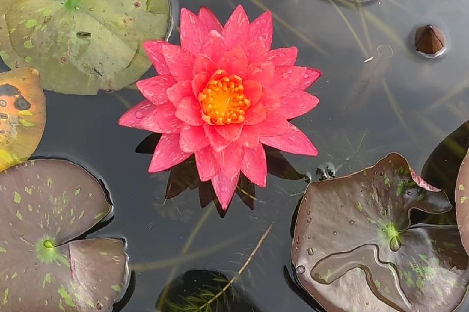 往后余生要学会讨好自己，活了这么多年，终于想明白一个道理，人这一辈子最讨好的人应
