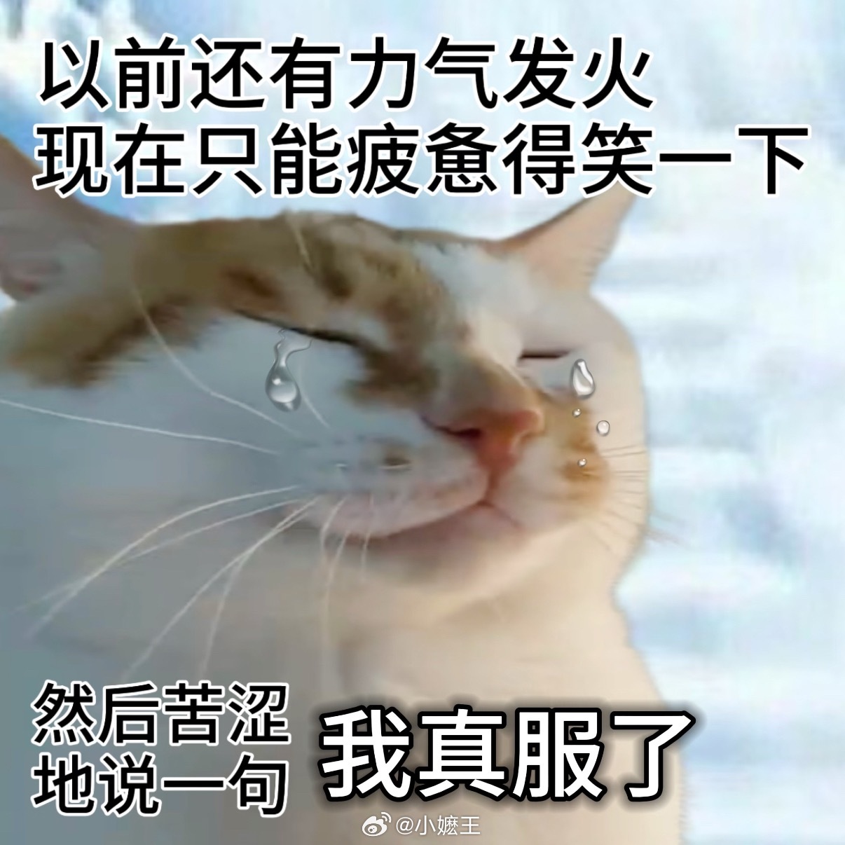 每天上班的精神状态每天上班主打一个身心分离，人稳稳坐在工位上，灵魂早就四处游荡。