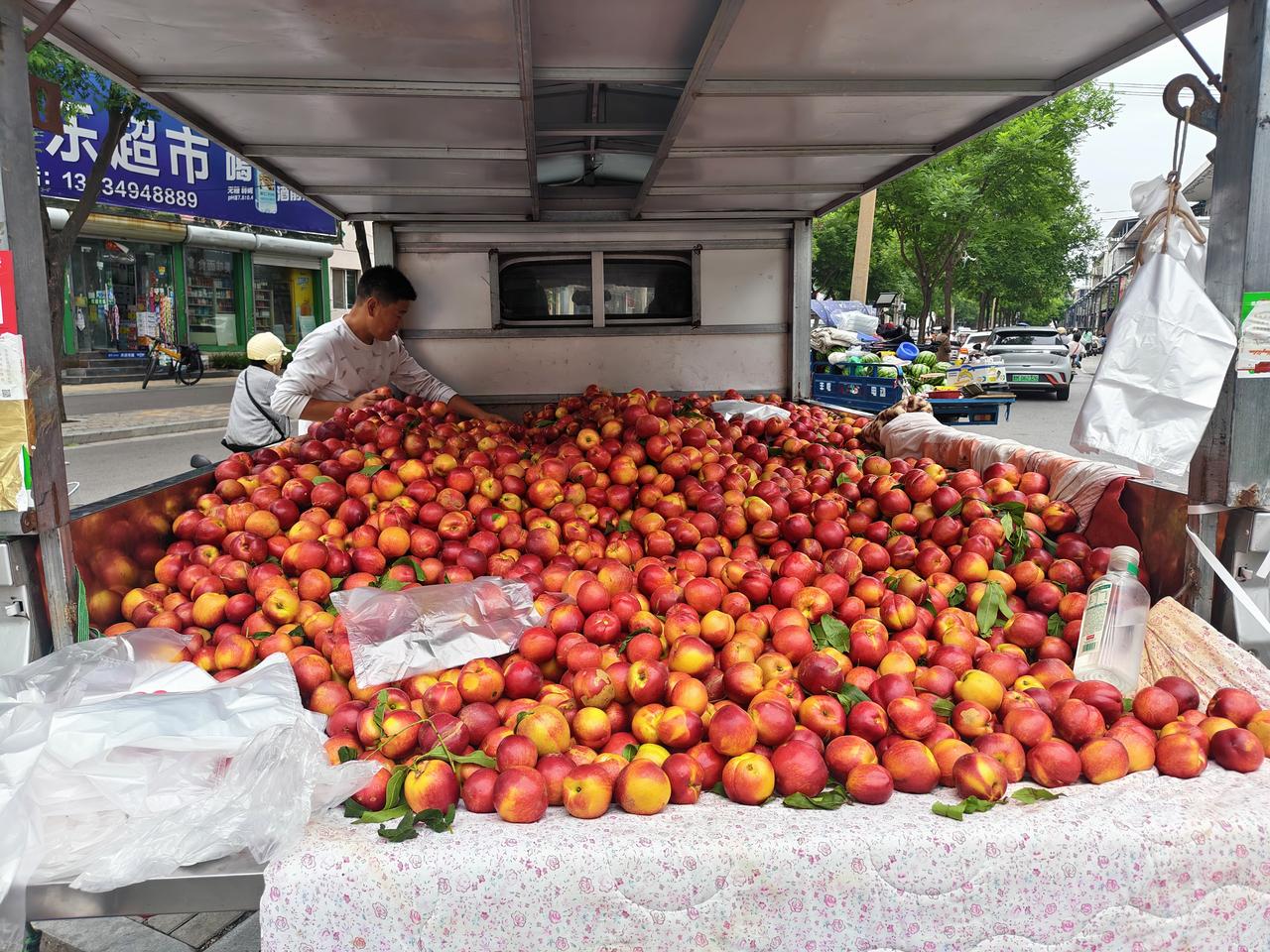 今早晨跑，发现运城盐湖西街路边停着一辆大车，车上堆满了红彤彤的油桃，10元4斤，