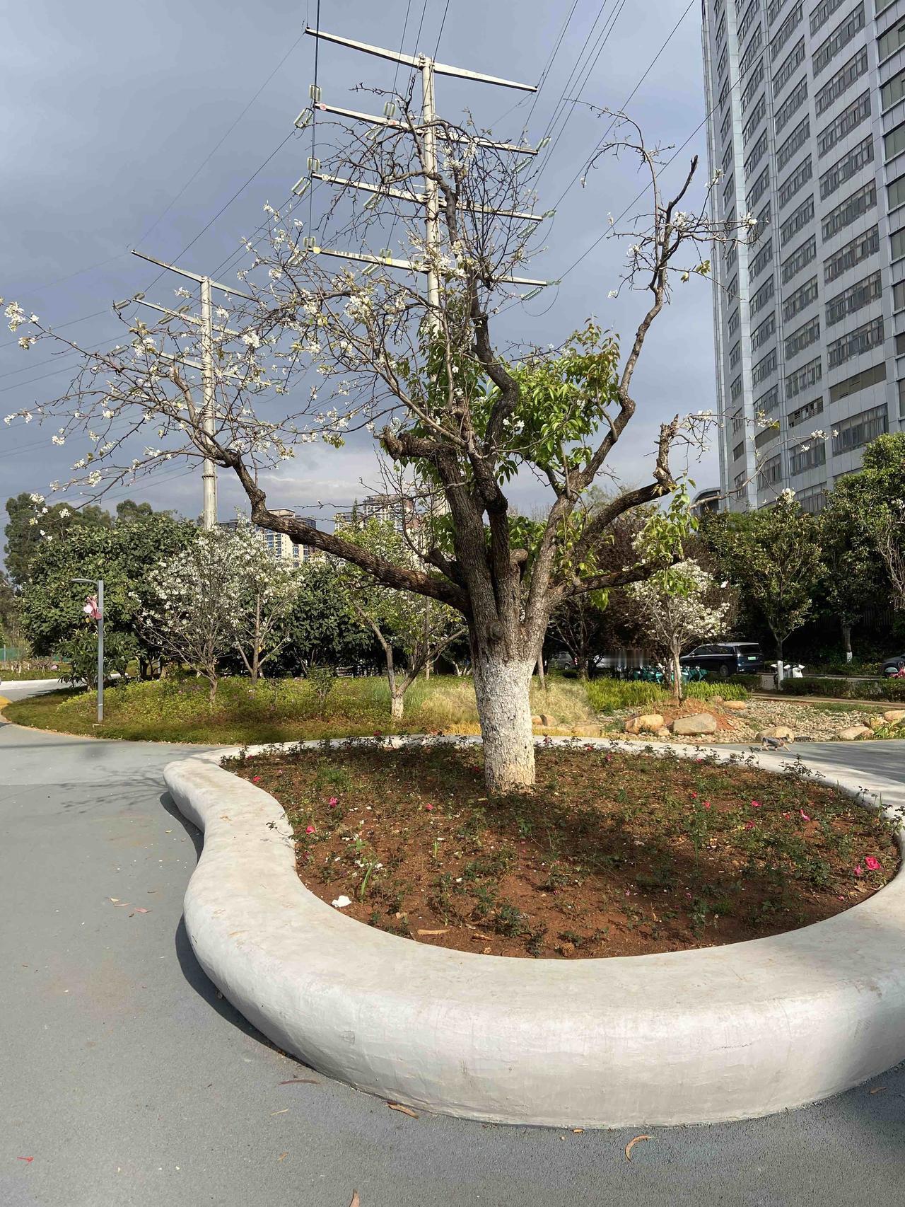 在坚持天天跑步一段时间后，会有点盼望跑步时间快点到来。换好速干衣裤，戴上耳机，就