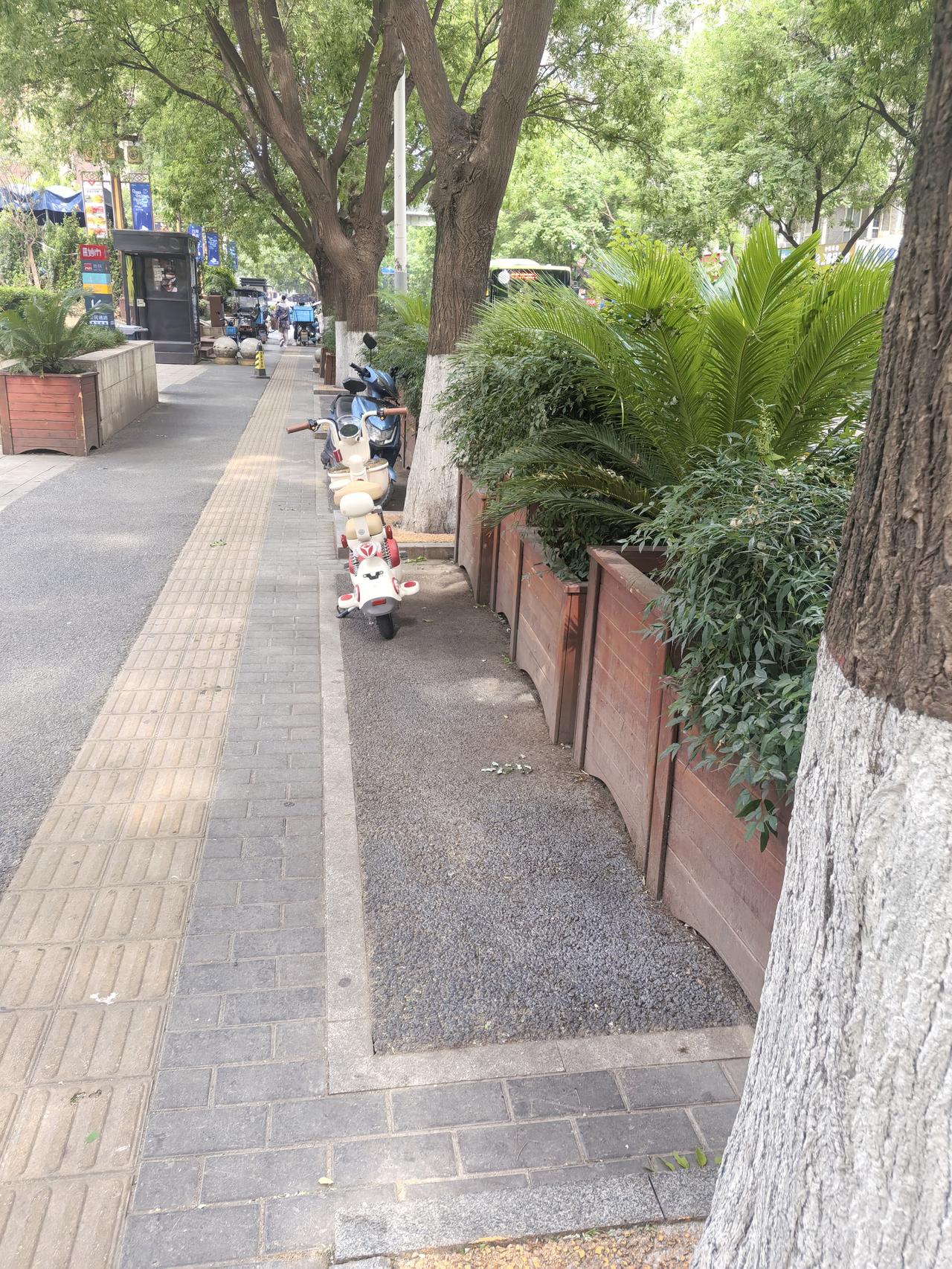实拍街景实证：道路绿化布局失当，多重挤压机动车、非机动车通行与行人步行空间
本次