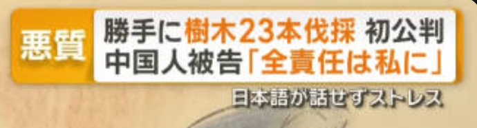 日本人平均水平下，并不比一个收到过良好教育，脑子正常，熟知中日历史，并且不是狗的