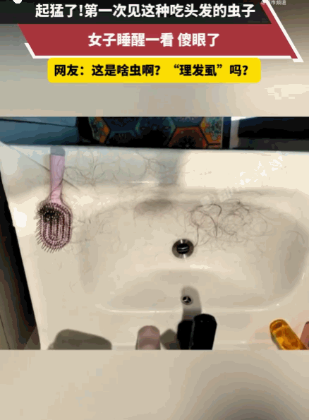防不胜防！一女子早上醒来，习惯性地一抓头发，头发竟然被虫子咬掉一大把，断口整齐得