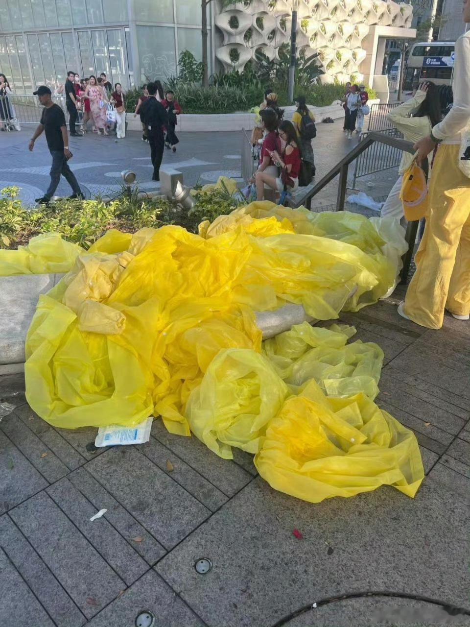 就说如此正式的场合，容不得黄色放肆。 