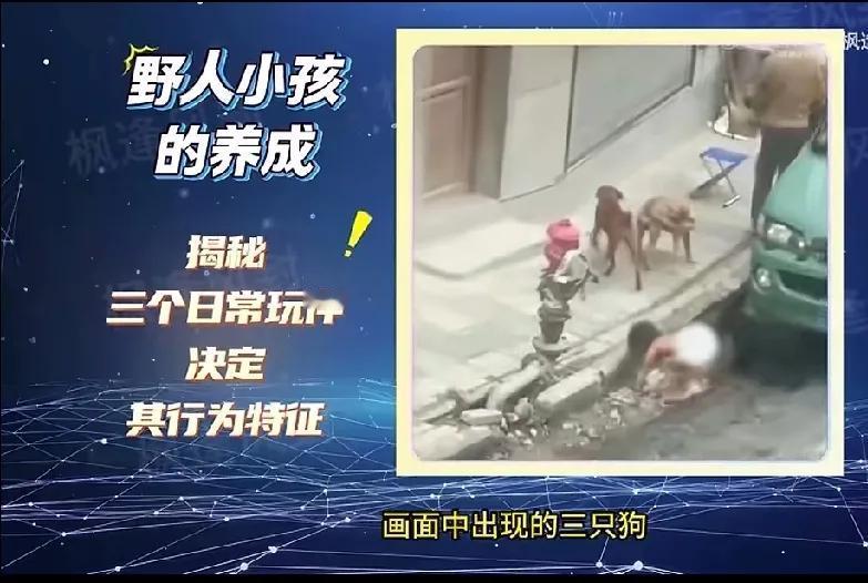 小孩爸爸妈妈都是高知识的人，养几条狗，把小孩跟狗一样同养。
不给穿衣服。学习狗走