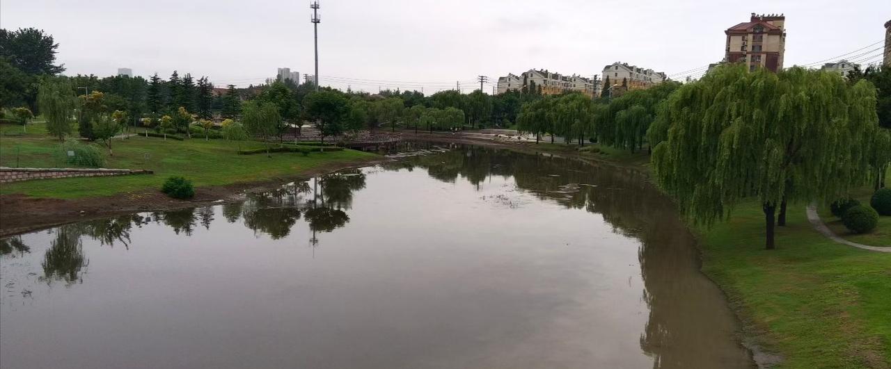 晒图笔记大赛夏日的河边，鲜花盛开，水波荡漾。