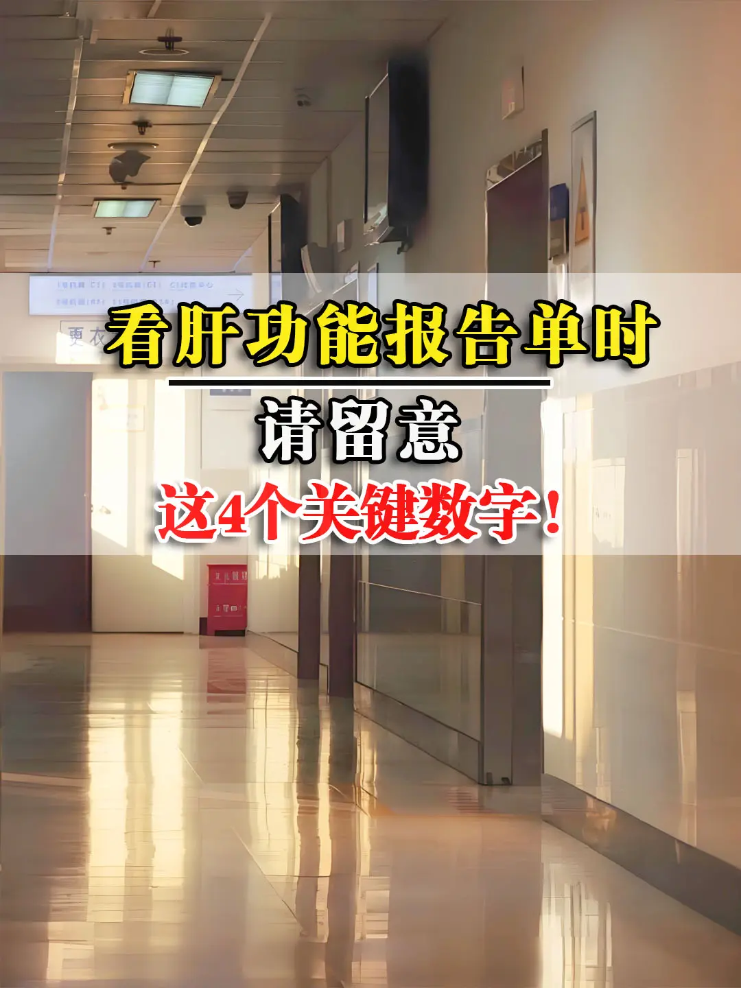 看肝功能报告单时请留意这4个关键数字！。肝功能报告单上的指标比较多，每...