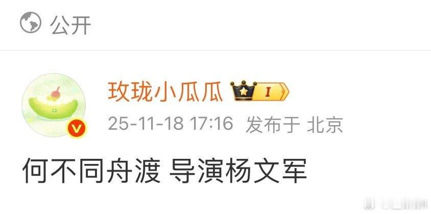 我们舔这部导演的时候就说杨文军或者费振翔+原作者，因为原作者是就是做剧编辑的都舔