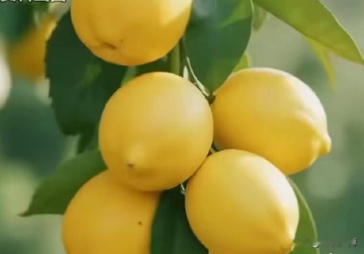 七十岁了，什么是最大幸福有健康的身体，有稳定的退休金，有琴棋书画的爱好，有搀扶的