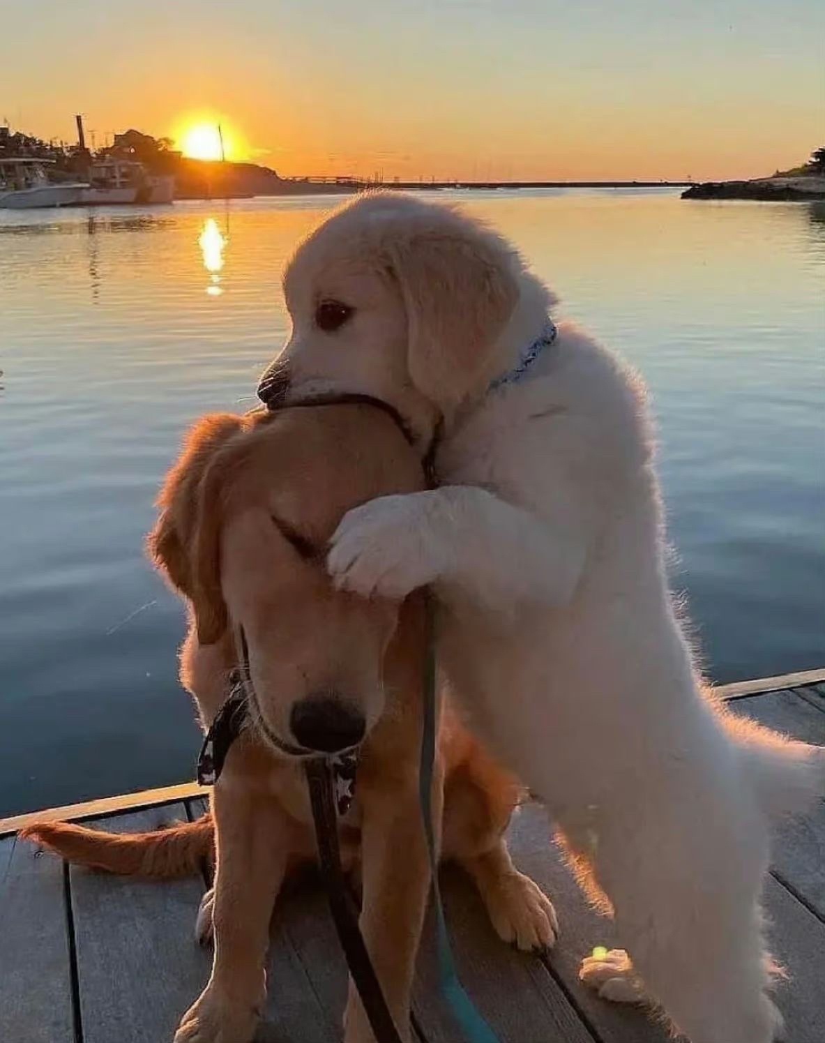 老规矩，睡前一更。明日甲辰  己巳  己亥。明后两天也算是有点难受，因为接连两天