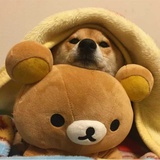 紫竹谈谈科技