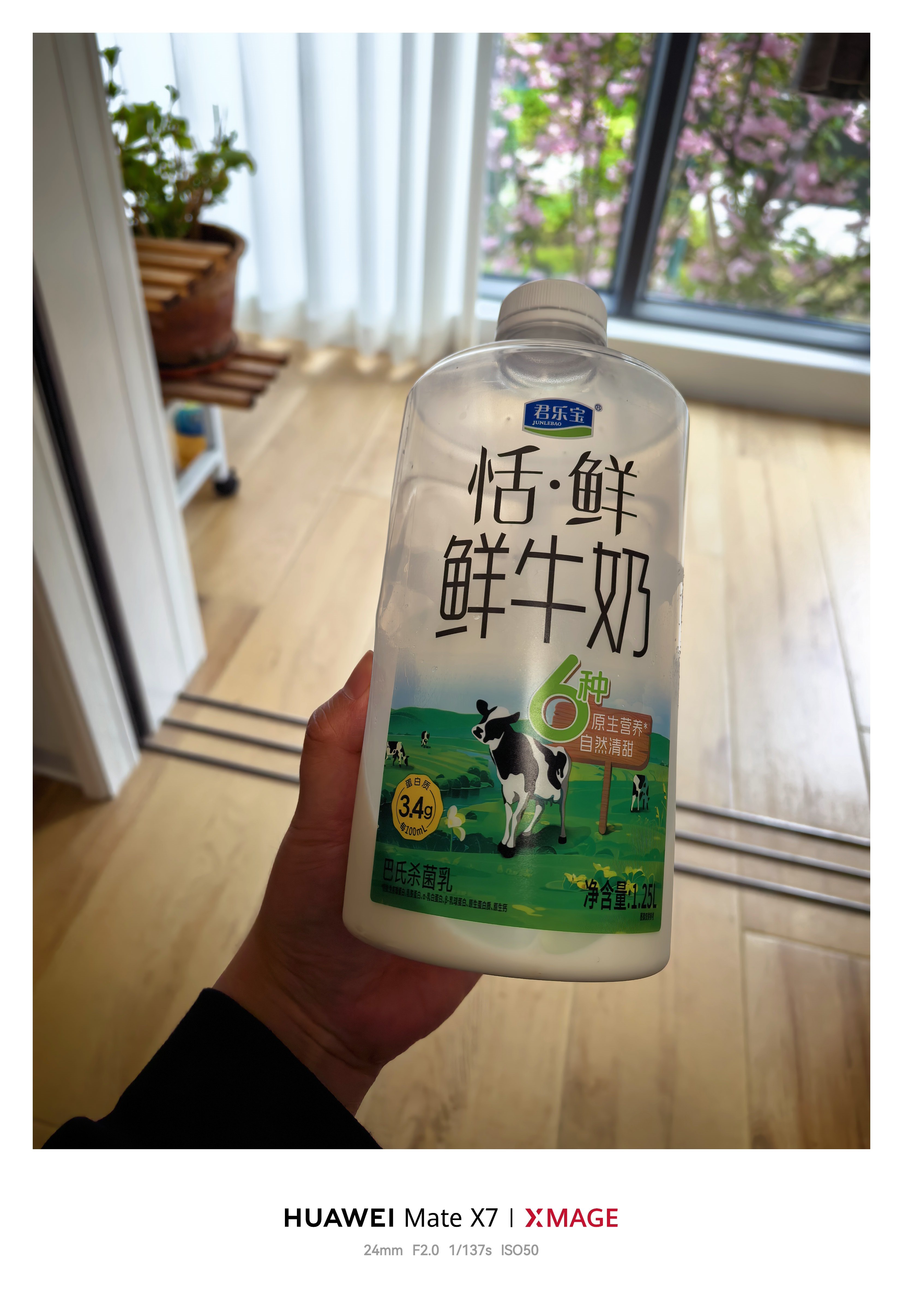 每当便秘的时候我就买一桶纯牛奶一口闷半小时必通乳糖不耐受也是一种优势 