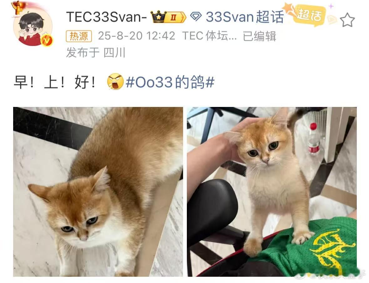 33你怎么可以发语音 哈哈33大中午发上早上好了[怒骂][柯基]和平精英职业联赛