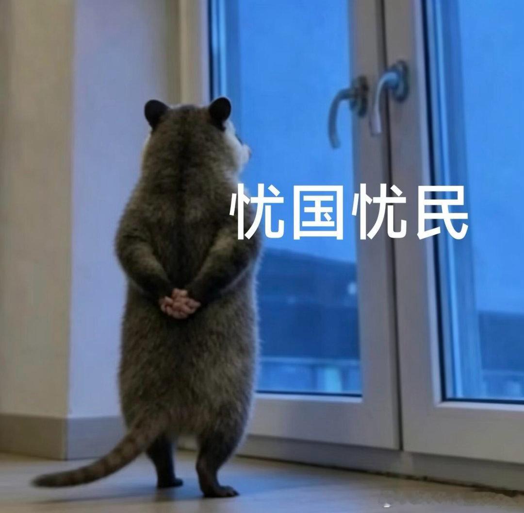 一些毫无人格魅力或者国民度低的艺人粉又来pua艺人上综艺的各种不好，引导说容易跳