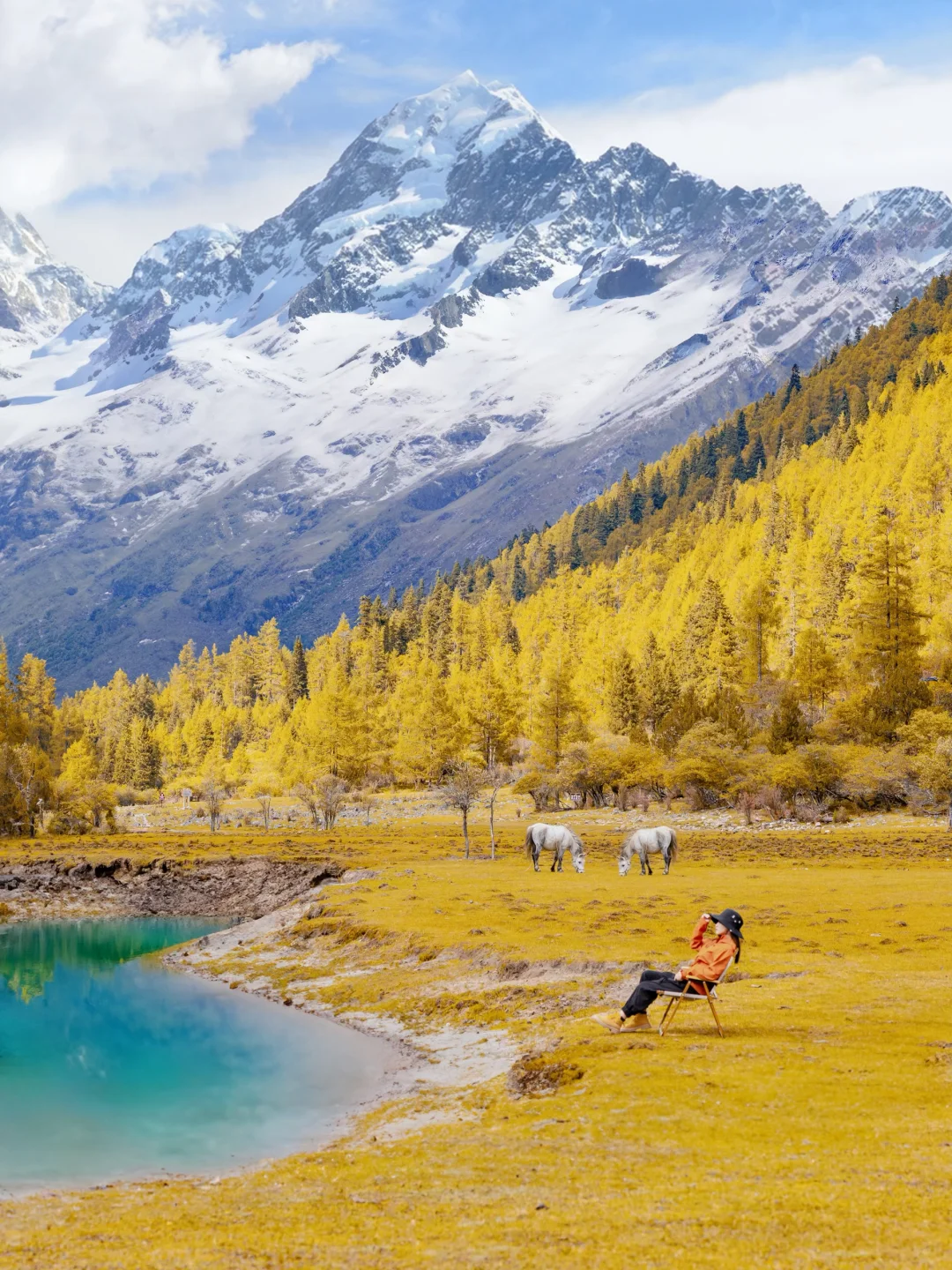 接下来的四姑娘山，是封神级别的秋景🍂