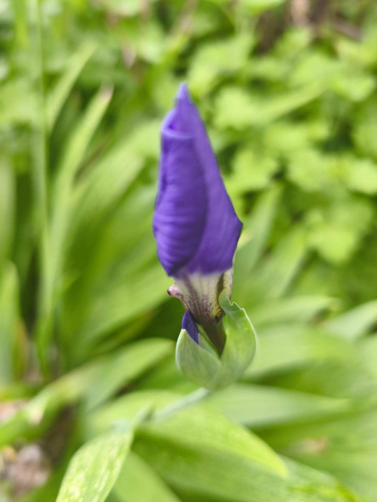 沉住气，别慌慌！
有什么用急的事情需要你去办呢？
没有！
深深的吸一口气，让心渐
