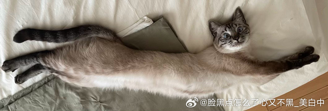 4094只黑脸请碧落看大大卷