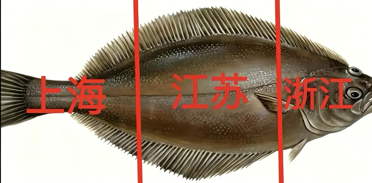 这几天走哪都能看到鸦片鱼的图哈哈哈哈哈头在浙江，身体在江苏，尾巴在上海哈哈哈哈哈