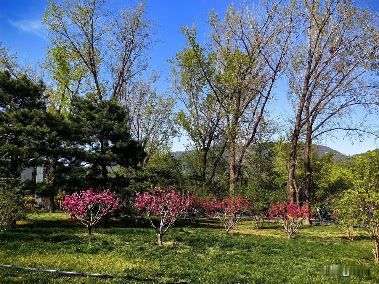 老年生活感悟：人生五味，总有酸甜苦辣；前路漫漫，难免起伏坎坷。

人到老年，走过