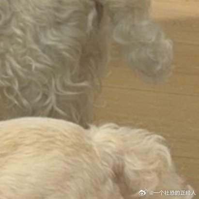 阳光信用阳光‬‬信用阳光信用 每日‬一善你好一起保护大自然与社会携手做公益关爱唇