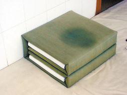 用一句话说明有过军营生活把自由折叠成豆腐块，用青春换一身永不褪色的骄傲。