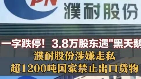 1200吨战略石墨，几十个重型集装箱，悄无声息运到了美国。一家中国上市公司干了这