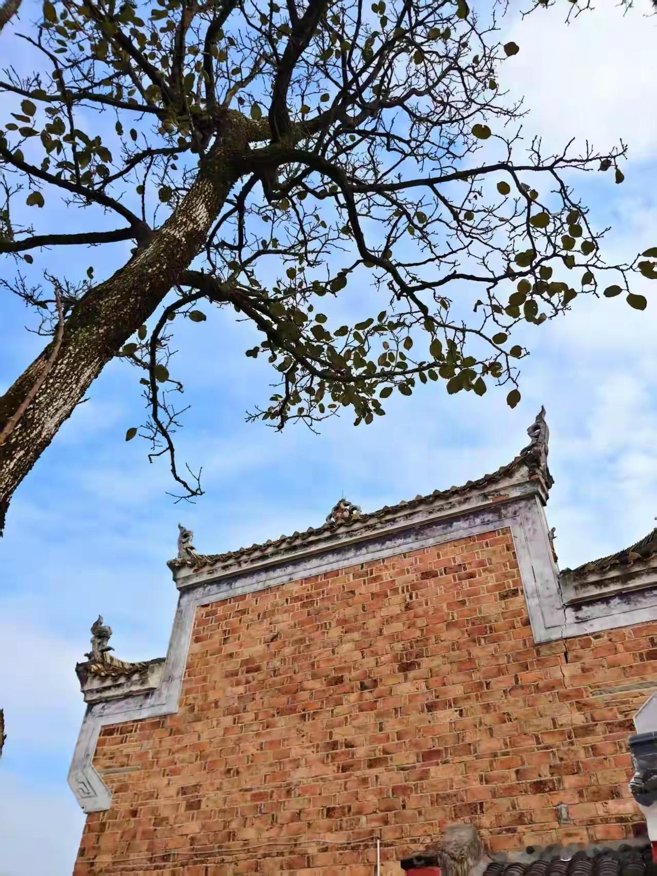 昨天吃完晚饭，天色渐渐暗了下来。餐桌上的碗碟收拾得差不多了，家里弥漫着饭后特有的