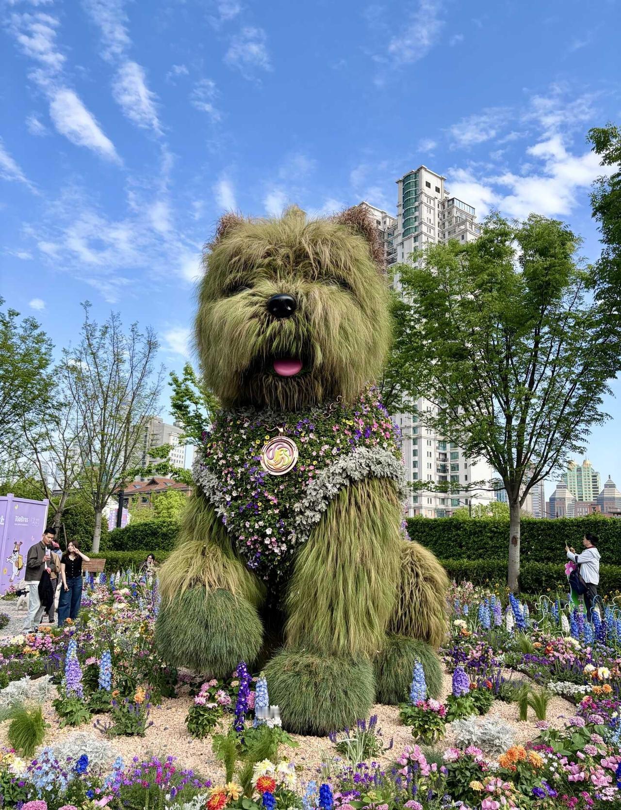 上海开始“卷绿化”了吗？这只草狗也太离谱了
上海现在已经开始“卷绿化”了吗？这只