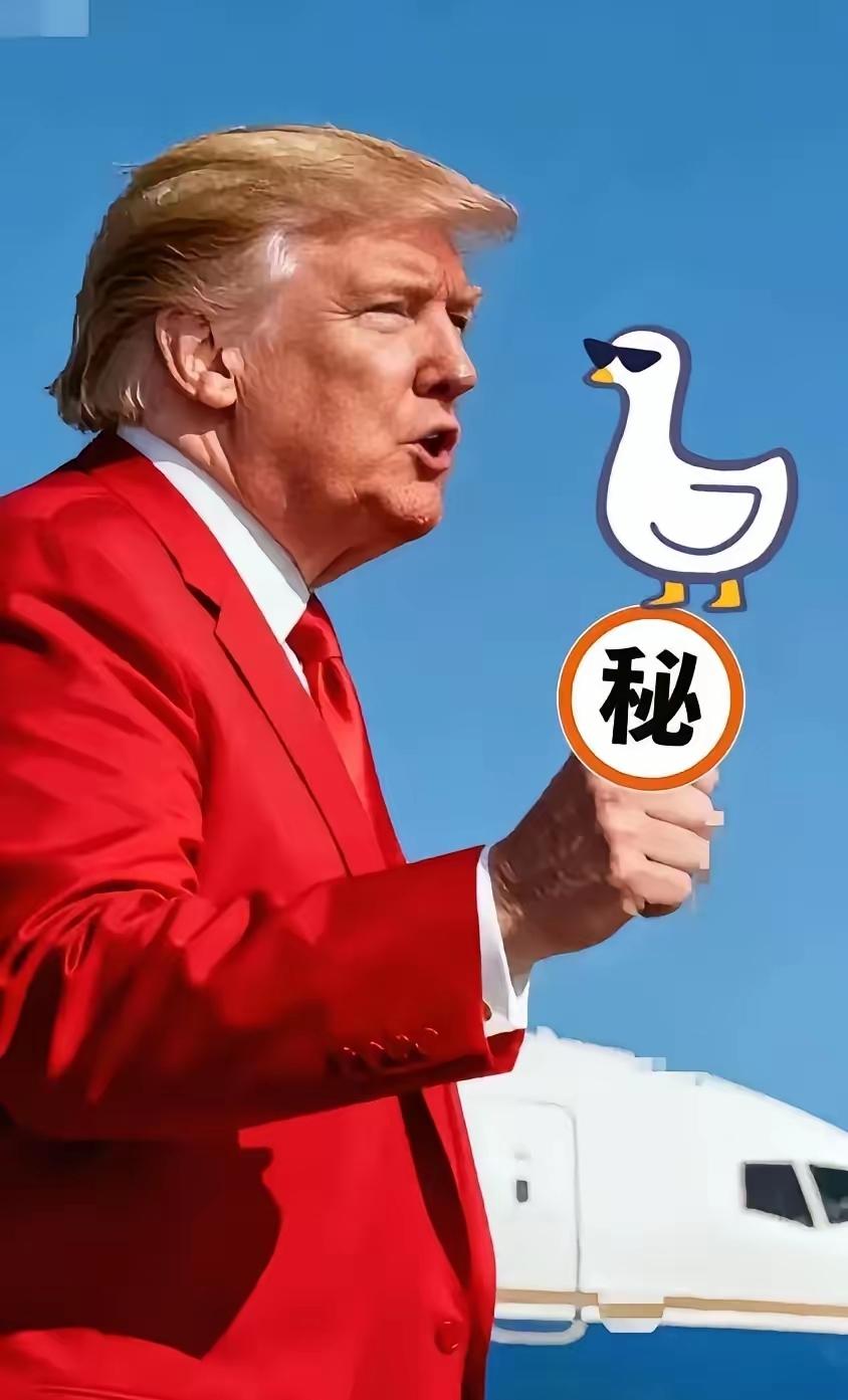 刚看了下
美国法院正式宣布了
2025年11月6日，美国最高法院正式就总统特朗普