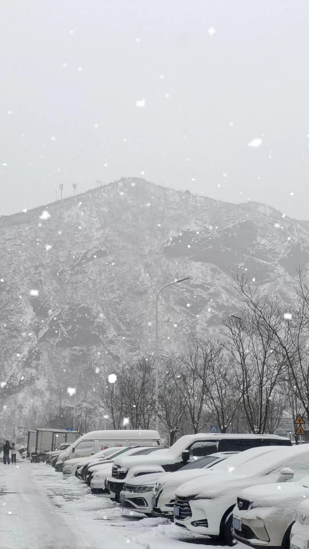 又是一年冬那大雪埋了松 发一张你登山的照片 记录家乡美景 沿途风景随拍 下雪了