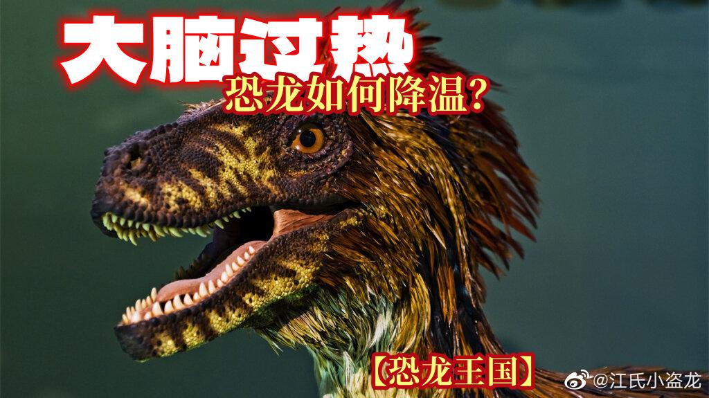 恐龙如何给大脑降温？
       兽脚类恐龙和它们的后代鸟类具有被称为呼吸鼻甲