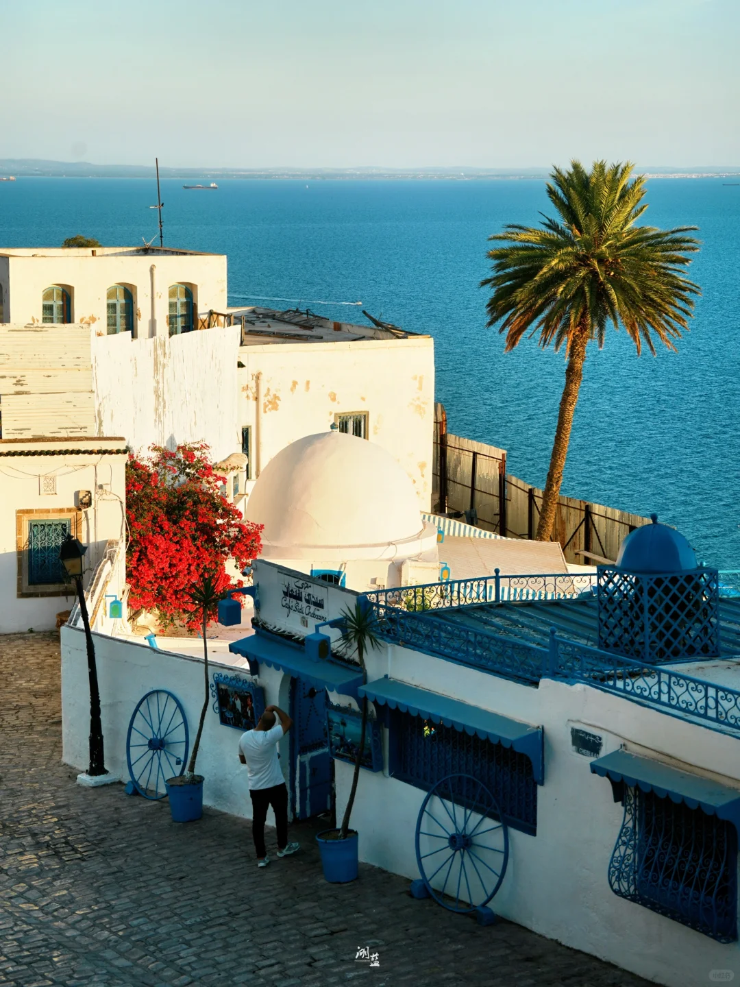 被国人忽略的小众宝藏免签国🇹🇳突尼斯