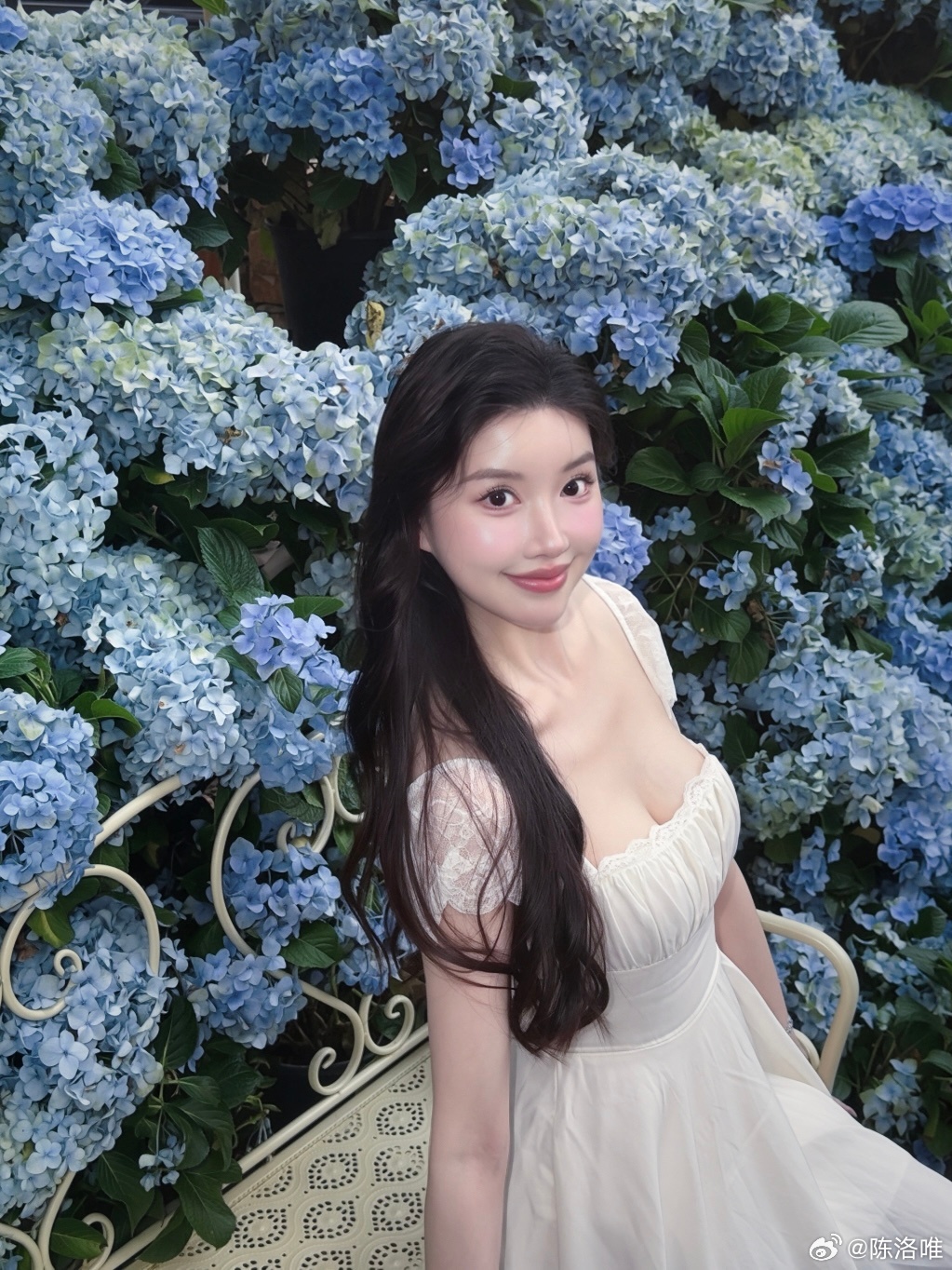 花开无尽夏🦋 深圳