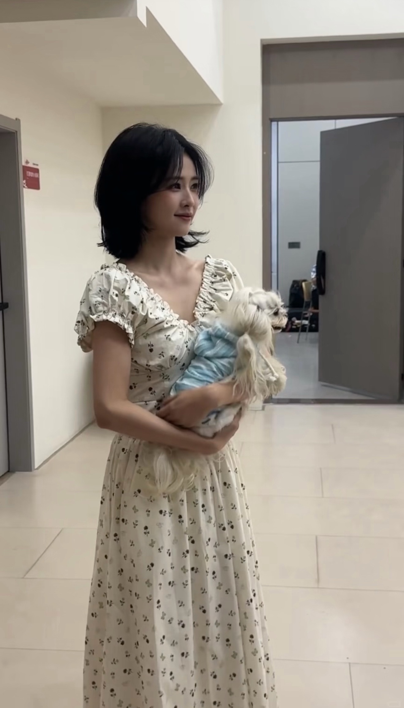 原来这个白梦妍直播还玩了别人家的马尔济斯，怪不得老黏风评被害