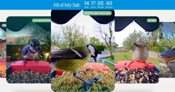 李现也来参与的“观鸟”，在全球拥有千亿级市场｜产品观察