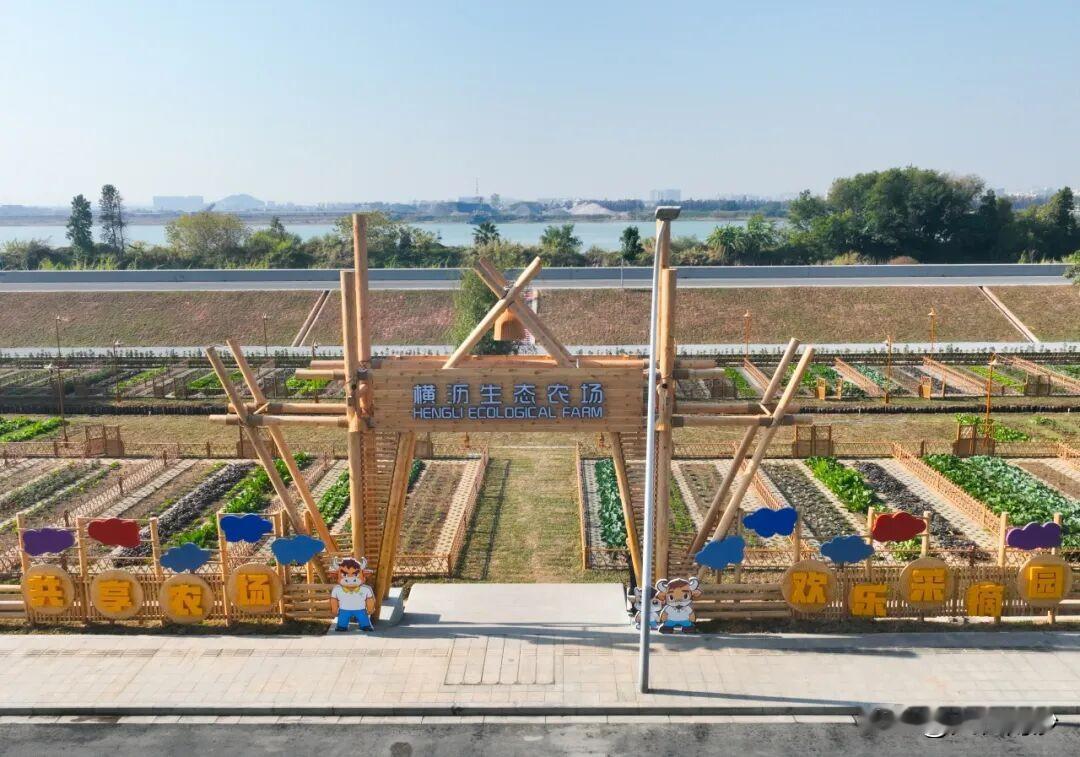 【生物谷“生态农业体验区”建成开放】近日，南沙生物谷滨水带景观提升项目“生态农业
