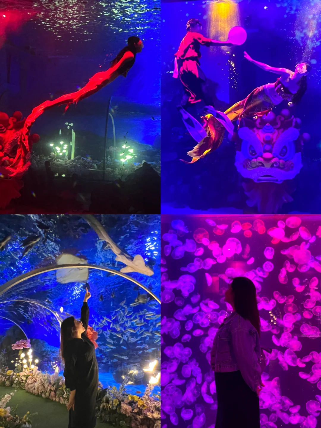 顺德春节溜娃！海洋公园一站式亲子游攻略！