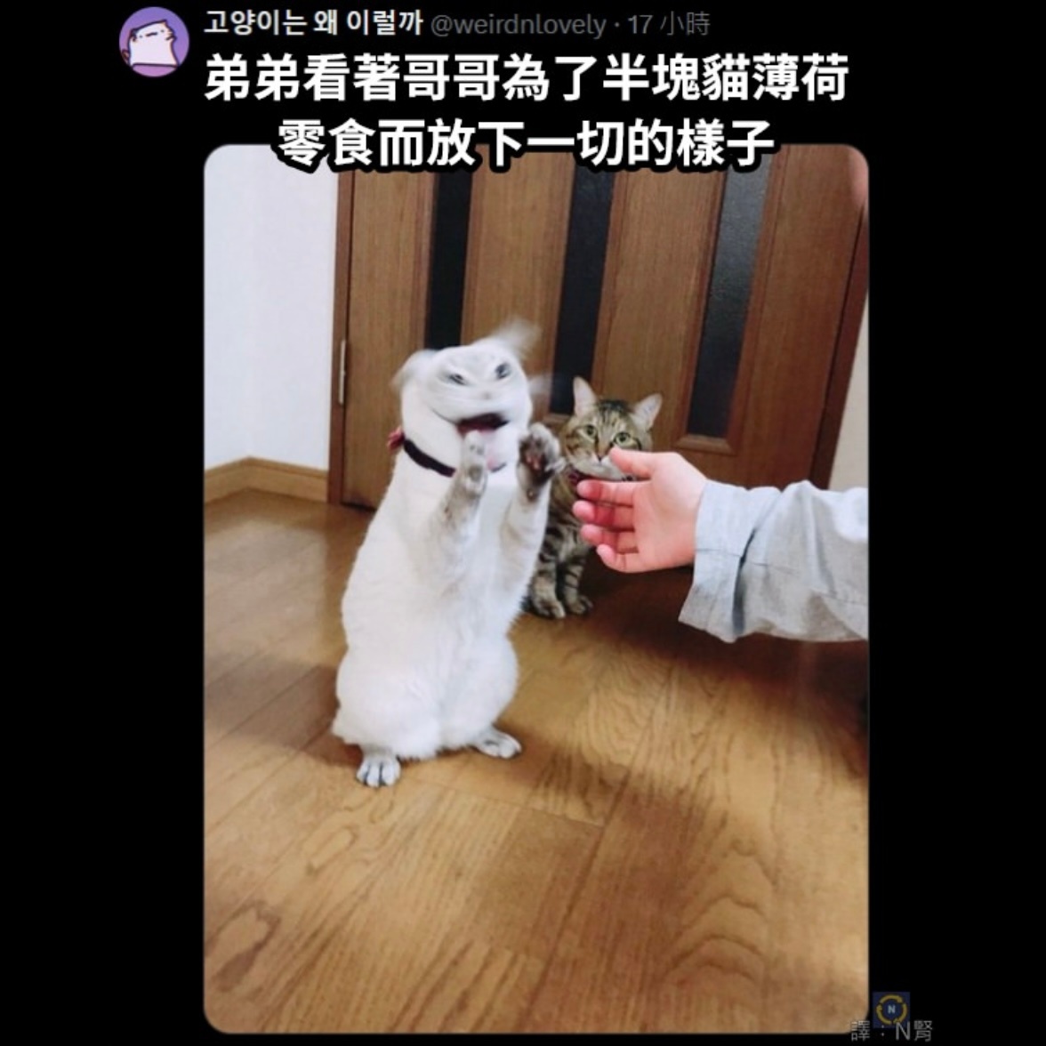 十分堕落memes ​​​