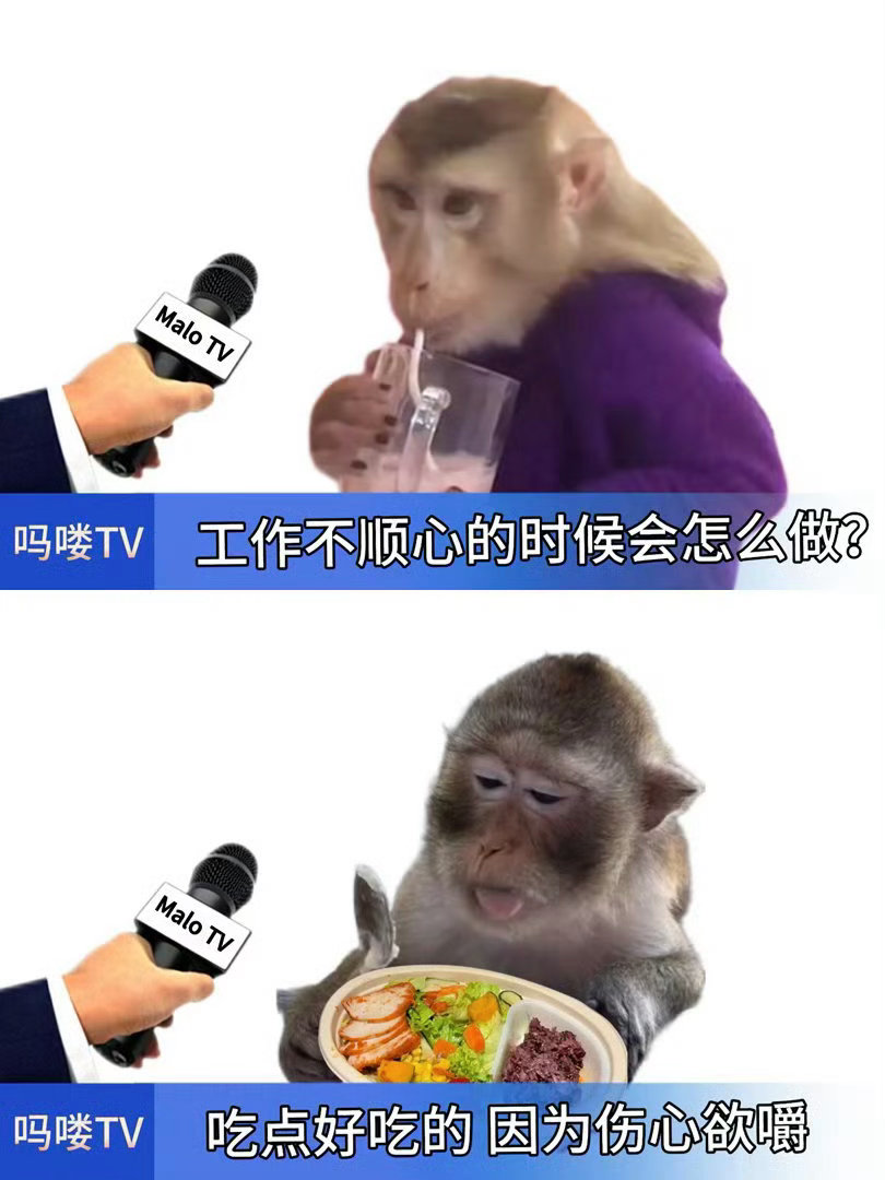 我每天😅 