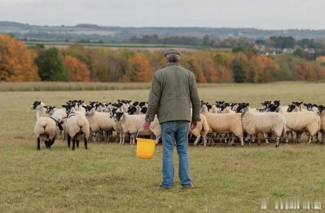 #周二搬砖# 早！ ​​​