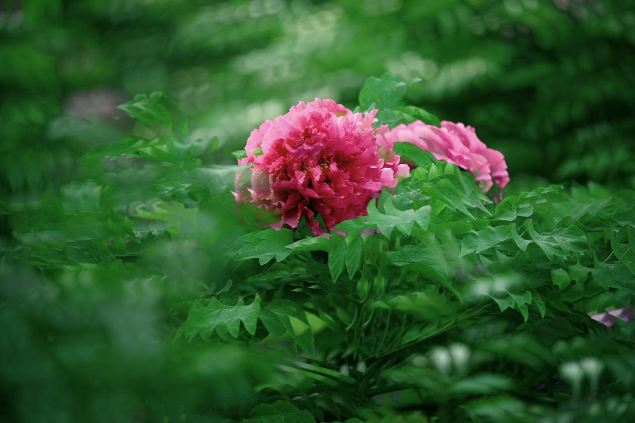 慢慢来吧，和对的人，一起把日子过甜
 
如今的生活，好像什么都讲究快，吃饭要吃快