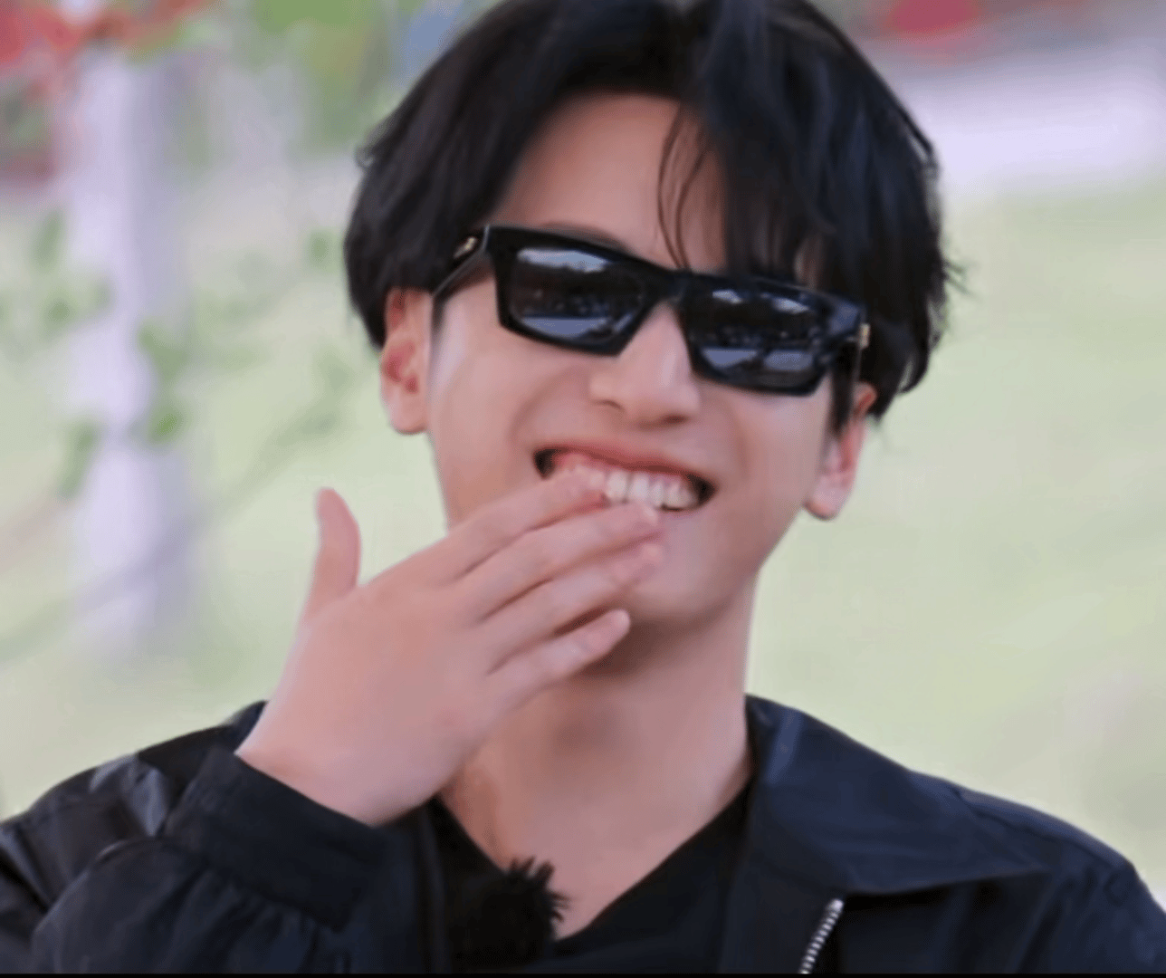 小狗狗 