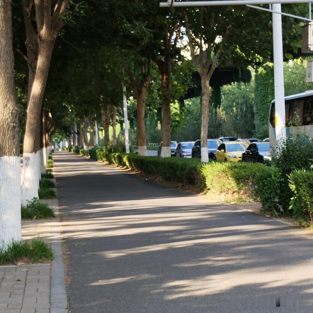 体能不行只能养生跑，我的跑步能力所幸比上不足比下有余。
今天天气太热，高温黄色预