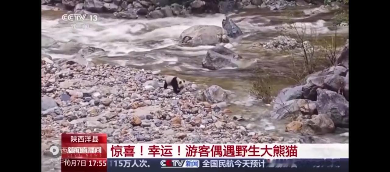 不得不说，现在的生态环境是真得好了，一些珍惜野生动物的种群在不断增加，甚至多年不