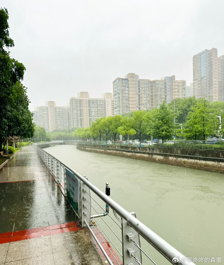 暴雨天，适合听“静思所有事物的伟大”！“夜雨下 风乱刮 摇曳的 树枝丫，静思所有