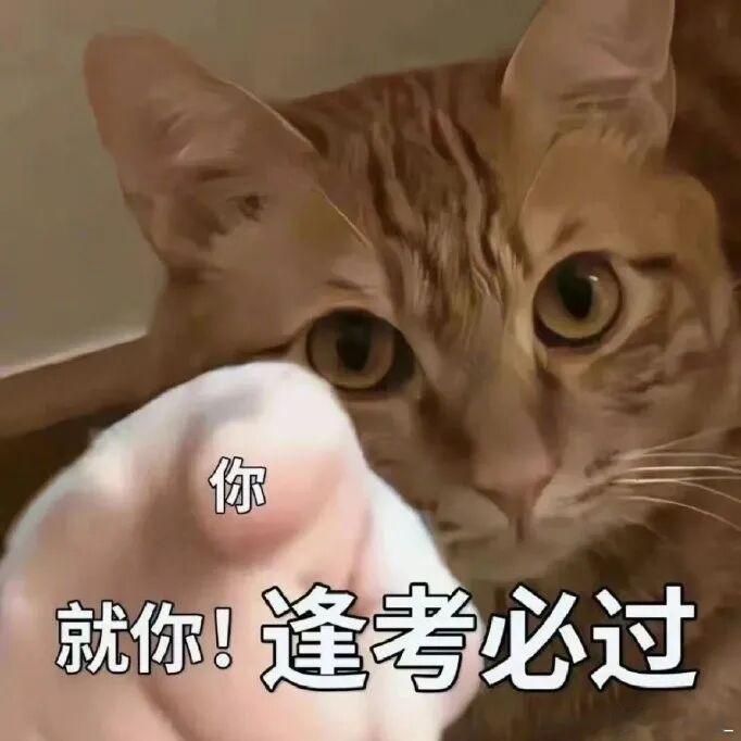 今天高考 作为人生中最公平，也是最重要的一个跳板希望1290万考生都考出好成绩，