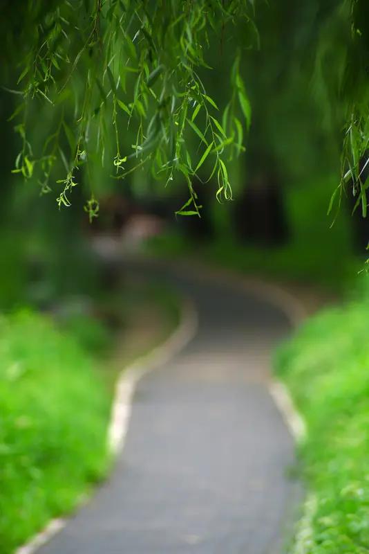 看到“小路清风过”这个上联，一下子就来了兴致。这上联描绘出一幅超有意境的画面，幽