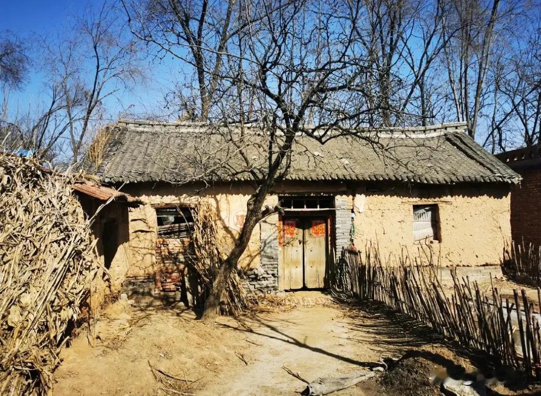 你也可能变为城里人了，这么穷的农村如果再让你回去长期生活，还能适当吗？空气无比新