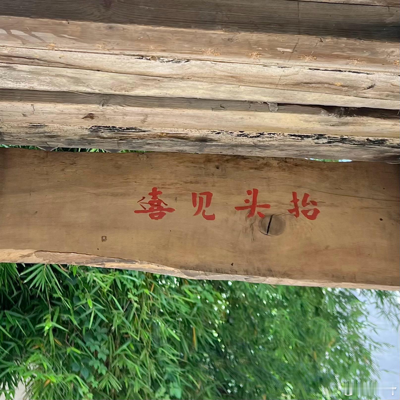 🪵 树洞 ​​​