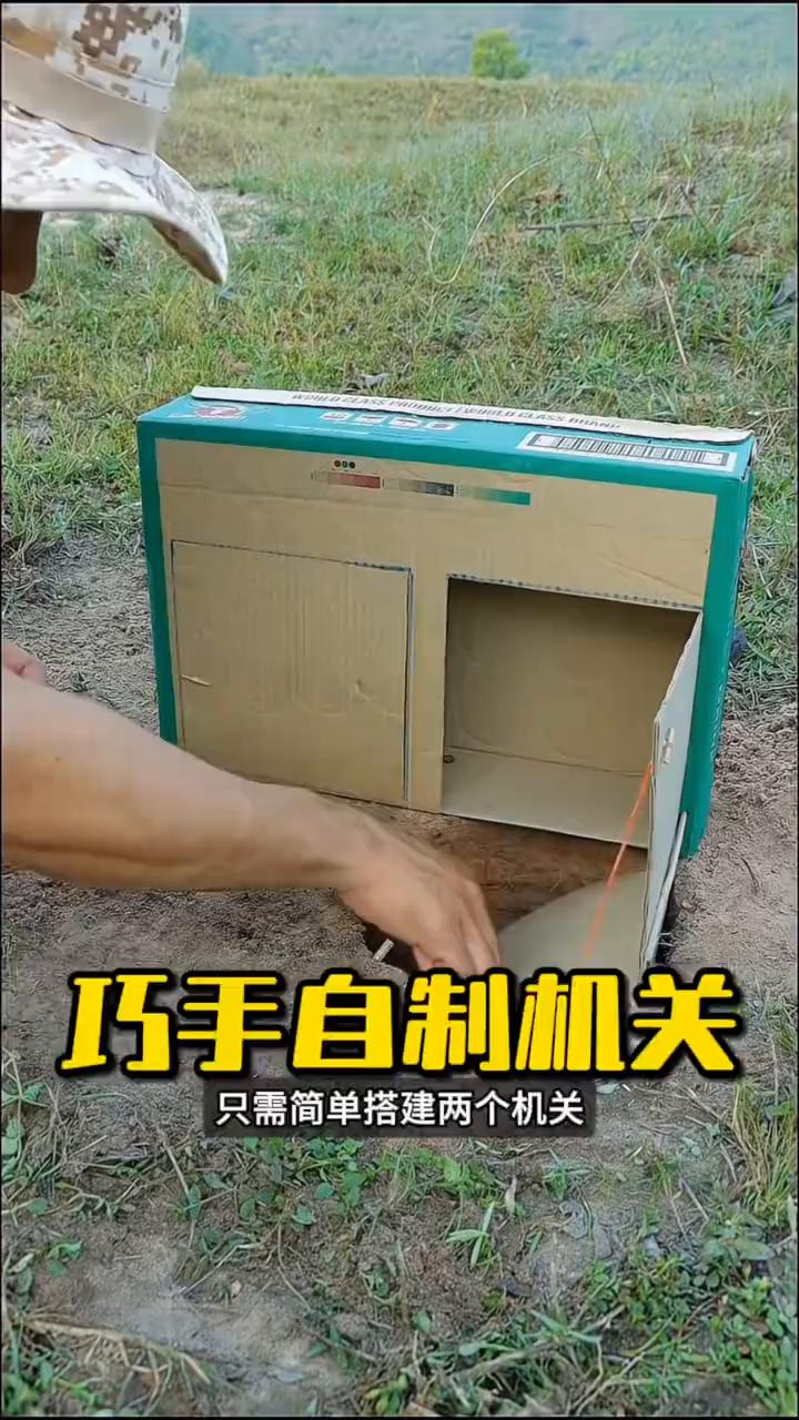 巧手自制机关。
这位大哥也太有才了，居然用废旧纸箱自制捉鸡神器，只需简单搭建两个